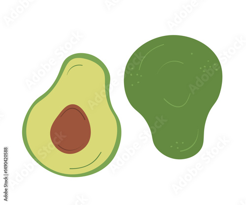 vector illustration of an avocado fruit