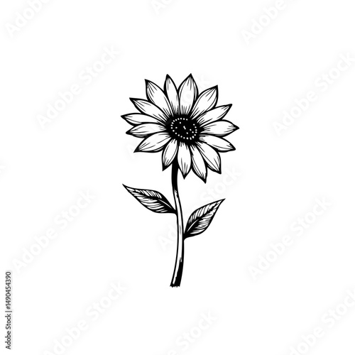 Elegant sunflower illustration exhibiting botanical delicacy and artistic line work