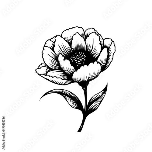 Elegant botanical illustration showcasing a detailed bloom with artistic flair