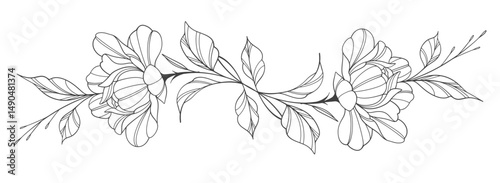 Sketch Floral Botany Collection. flower drawings. Black and white with line art on white backgrounds. Hand Drawn Botanical Illustrations.Vector