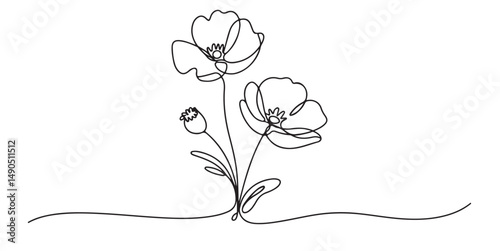 set vector black Continuous Line Drawing of Poppies Flowers, Single Line Drawing of Two Poppies and Bud
