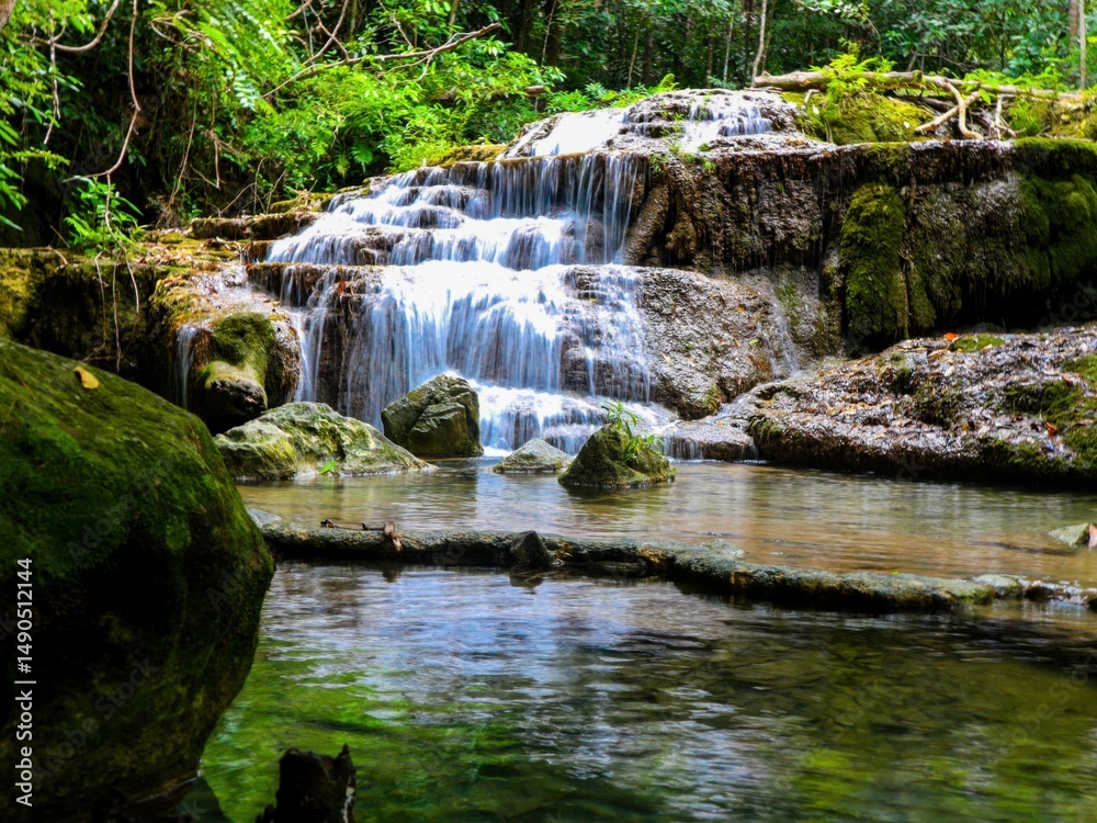 Fototapeta premium waterfall in the forest