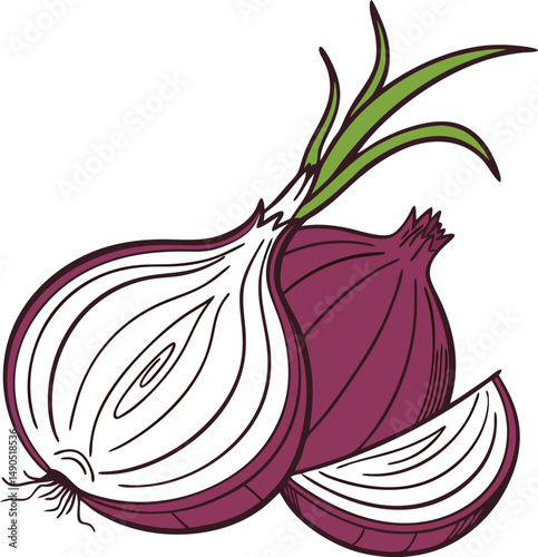Vector Illustration of Red Onions: Whole and Sliced