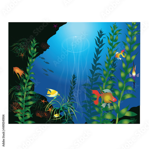 The nice environment in the under water