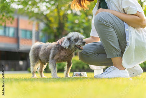 Pet care worker dog eat food on lawn at park. Happy woman playing and feeding snack or feed her dog on the grass. Female veterinarian treating sick dog by letting relax outdoors.