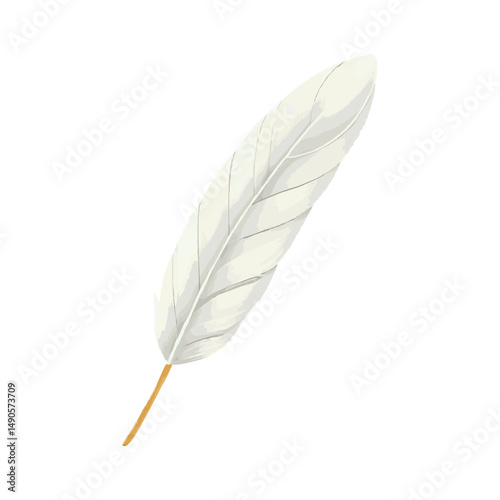 Detailed Bird Feather Illustration