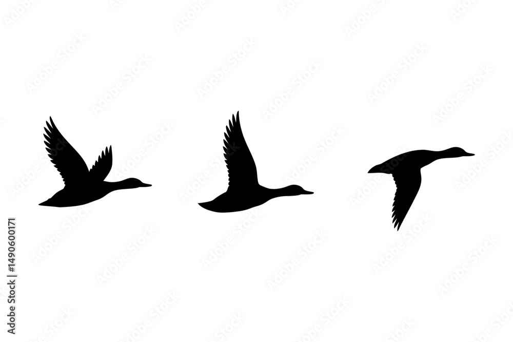 Fototapeta premium Flying duck silhouette vector image clip art design