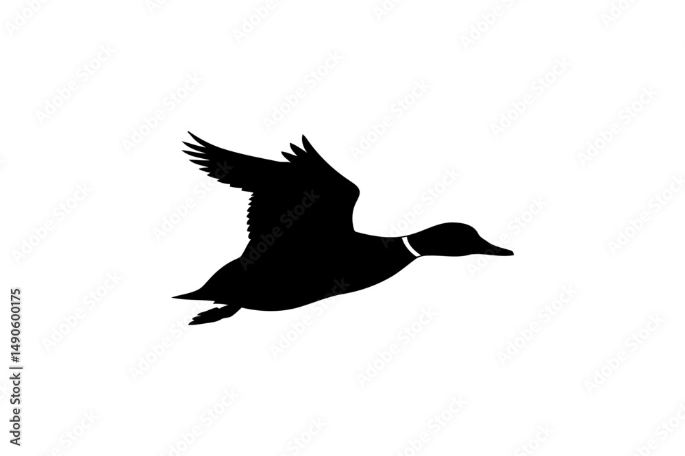 Obraz premium Flying duck silhouette vector image black and white