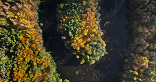 Top down view of forest and river at autumn.