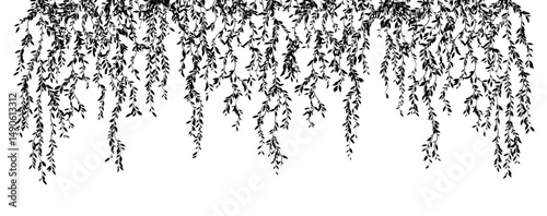 Hanging plants. Liana branches wall. Simplistic foliage border. Horizontal isolated vector decoration.