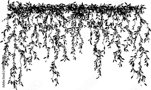 Hanging plants. Liana branches wall. Simplistic foliage border. Horizontal isolated vector decoration.