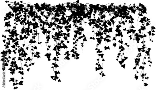Hanging plants. Ivy branches wall. Simplistic foliage border. Horizontal isolated vector decoration.