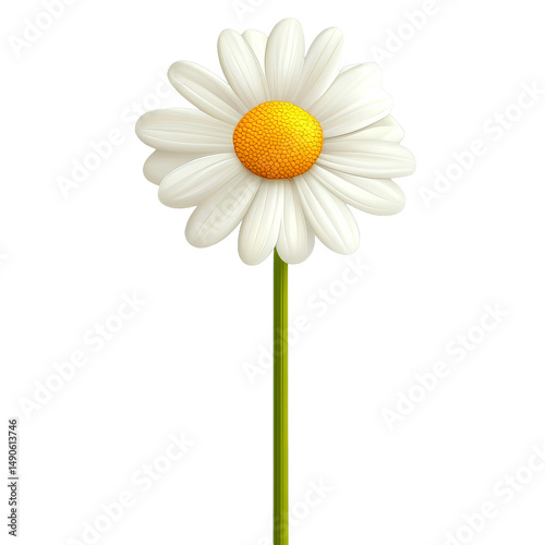 Single white daisy with vibrant yellow center stands against plain background