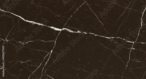 Explore dark brown marble texture background with white veins for interior design and architecture use