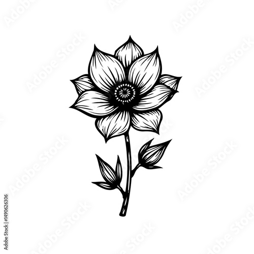 Monochrome floral illustration exhibiting intricate detailing, emphasizing organic elegance