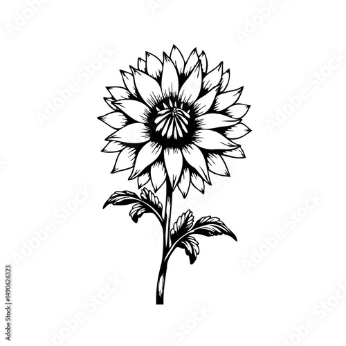 Elegant Monochrome Botanical Illustration: A Detailed Floral Design Artwork