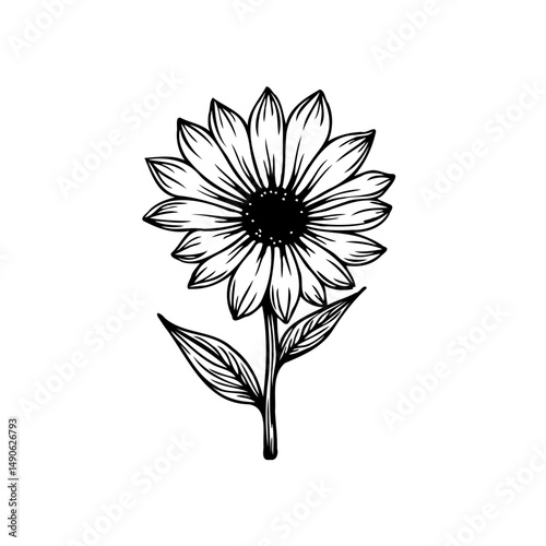 Detailed sunflower botanical illustration evokes simplicity and natural beauty