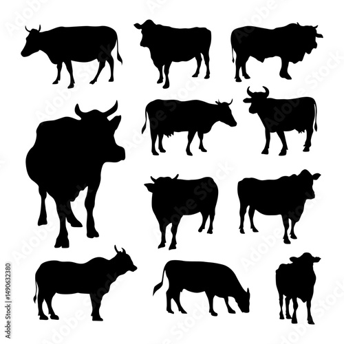 set of cow cattle silhouette collection