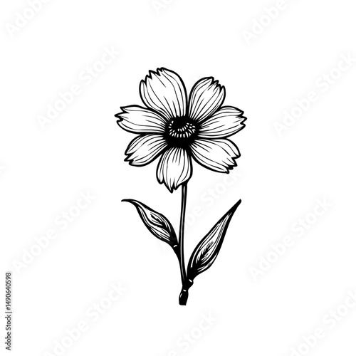 Delicate floral illustration with intricate linework creating a botanical artistic appeal