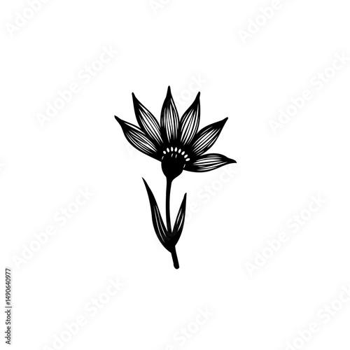 Elegant stylized floral botanical illustration on a pristine white background