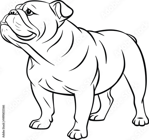 french bulldog vector illustration