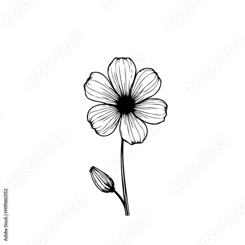 Elegant minimalist line art illustration of a blooming flower with bud detail
