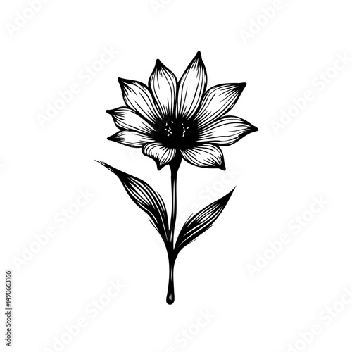 Elegant floral botanical illustration, a stylized monochrome flower drawing