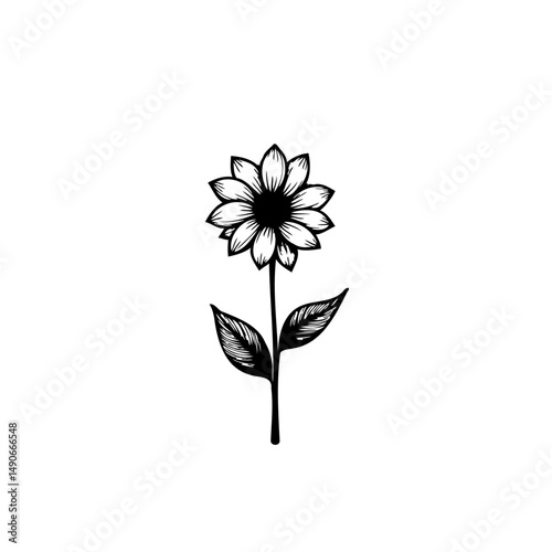 Monochrome botanical illustration featuring a stylized sunflower with delicate petals