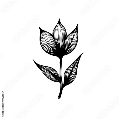 Elegant floral illustration with delicate linework against a pure white backdrop