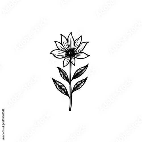 Minimalist flower illustration with detailed line work, a simple floral design