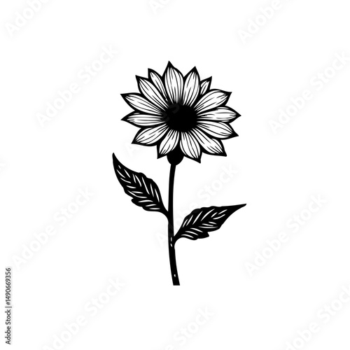 Elegant monochrome rendering of a blossoming sunflower with detailed petals