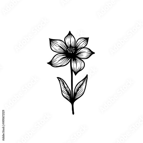 Elegant botanical artwork depicting a single delicate flower in striking monochrome