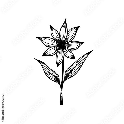 Delicate botanical illustration of a flower with elegant lines and detailed shading