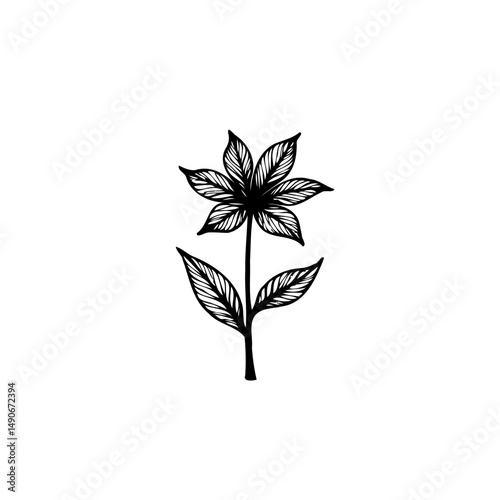 Elegant botanical artwork featuring a delicately drawn floral design with detailed linework