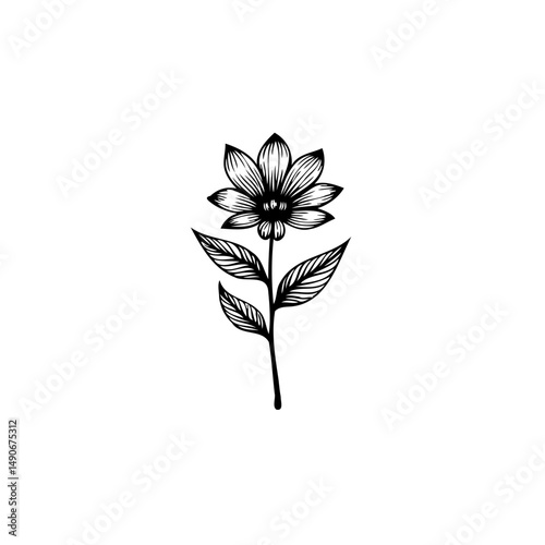 Elegant botanical illustration featuring a delicate monochrome flower design