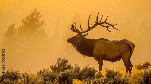 Majestic Elk Silhouette: Proud and Frosty Antlers on a Mist-Shrouded Summit