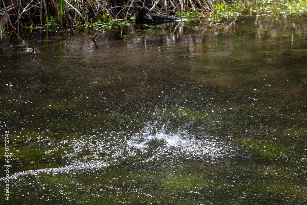 Small tornado of splashing water on a river Small tornado of splashing water on a river