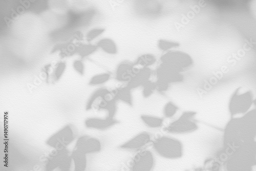 Rose leaf shadow. Shadows and light from sunlight of natural rose leaf tree branch plant , grey rose leaves shadow overlay effect for foliage mockup