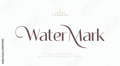 Water Mark, Luxury wedding alphabet letters font and number. Typography elegant classic lettering serif fonts decorative vintage retro concept. vector illustration