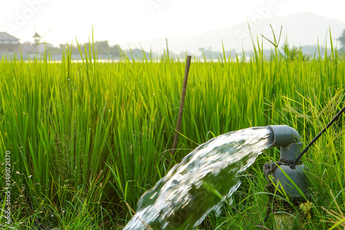 Irrigation of rice fields using pump wells with the technique of pumping water from the ground to flow into the rice fields. The pumping station where water is pumped from a irrigation canal.	