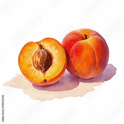 Golden Haze Drift apricot isolated watercolor vector illustration svg