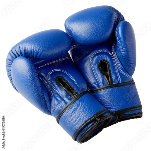 Two blue boxing gloves with black trim