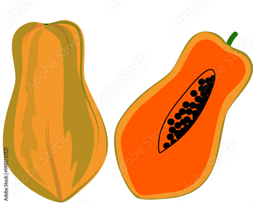 Ripe Papaya Fruit, Whole and Halved, Illustration