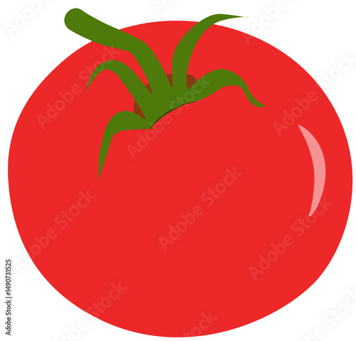 Single Red Tomato Illustration, Simple Vegetable Graphic