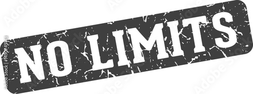no limits rectangular sign. no limits stamp