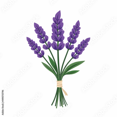 Lavender bouquet with green stems on white background, floral illustration