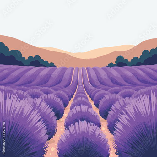 Vibrant lavender field under clear blue sky, natural tranquility