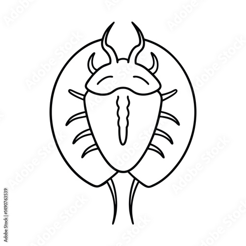 minimal horseshoe crab line drawing vector