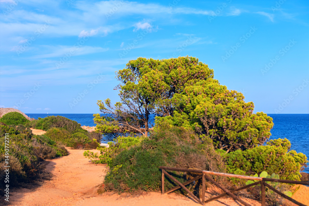 Obraz premium Serene coastal path lined with green shrubs and green tree, leading toward tranquil blue sea under clear sky. Rustic wooden fence borders the trail, enhancing natural beauty of Mediterranean landscape
