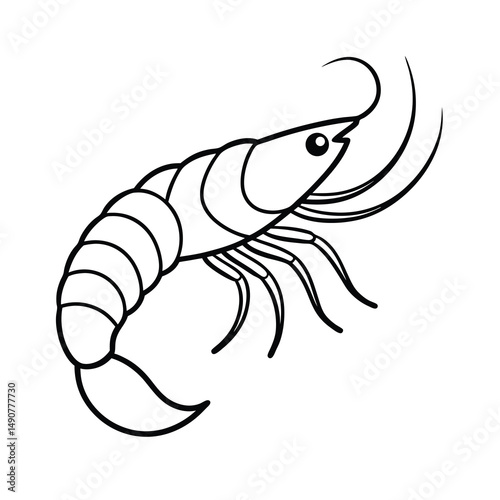 outlined vector design of shrimp line art